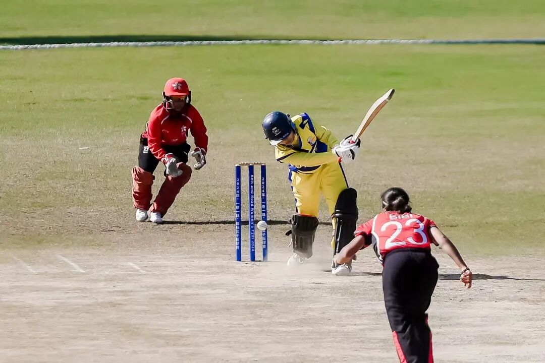 1764811100367770.jpg 1764811100367770.jpg